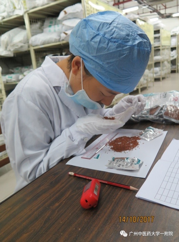 「药我说」广州中医药大学一附院中药饮片质量缘何这么好？！看看你便知