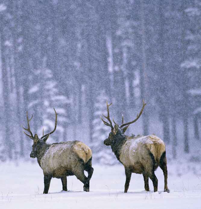 德国地图看世界,国家地理推荐的10座雪山