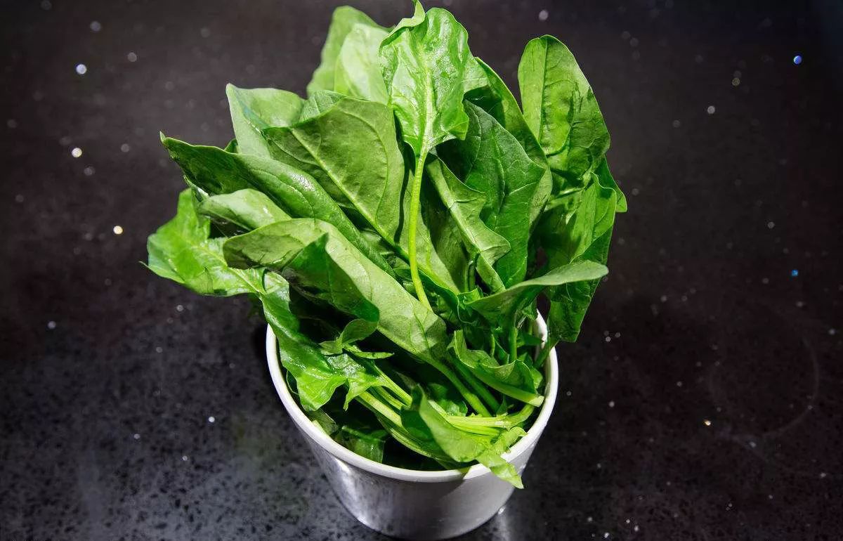 什么菜和中国皇帝最有渊源？｜舌尖上的一带一路