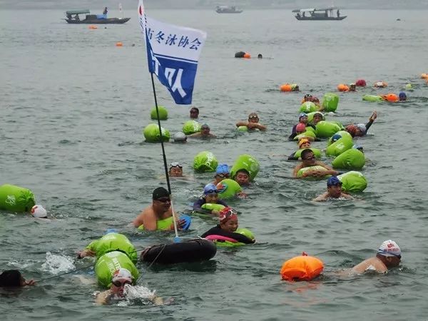 快看油价大变化,油价终于降了车主请注意