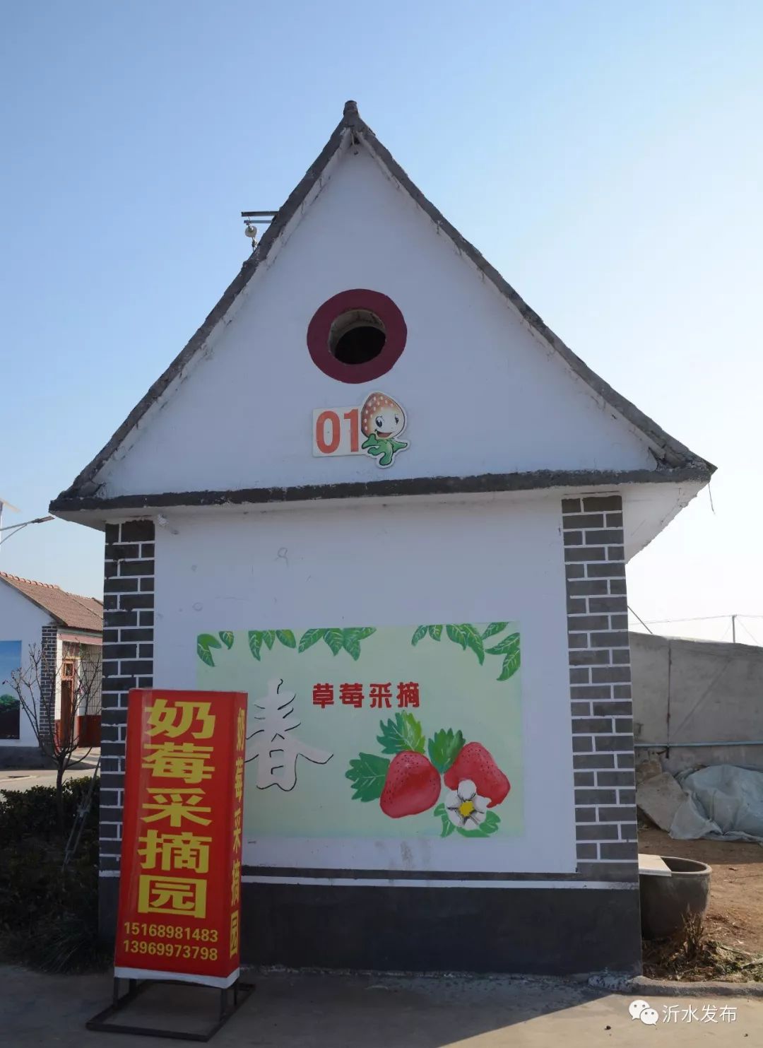 沂水妙香草莓,沂水草莓采摘园