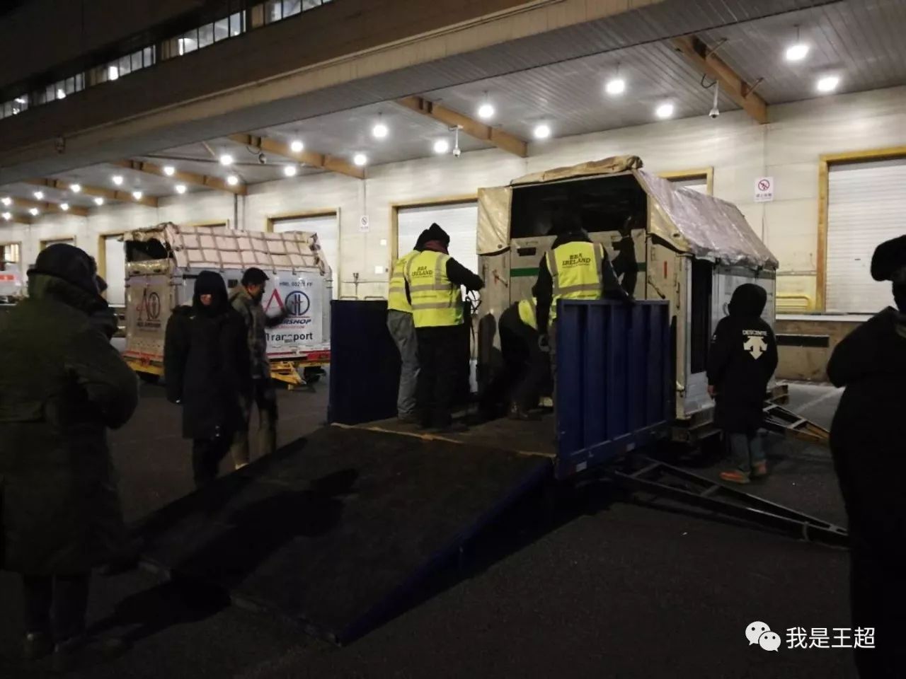 「多图」听说张总买的一飞机爱尔兰纯血马到首都机场了，我们去看了看