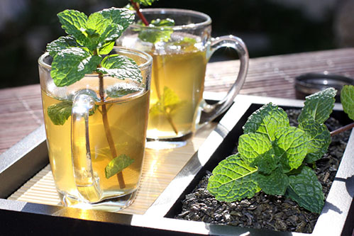 真正的药用薄荷,薄荷是一种什么药草