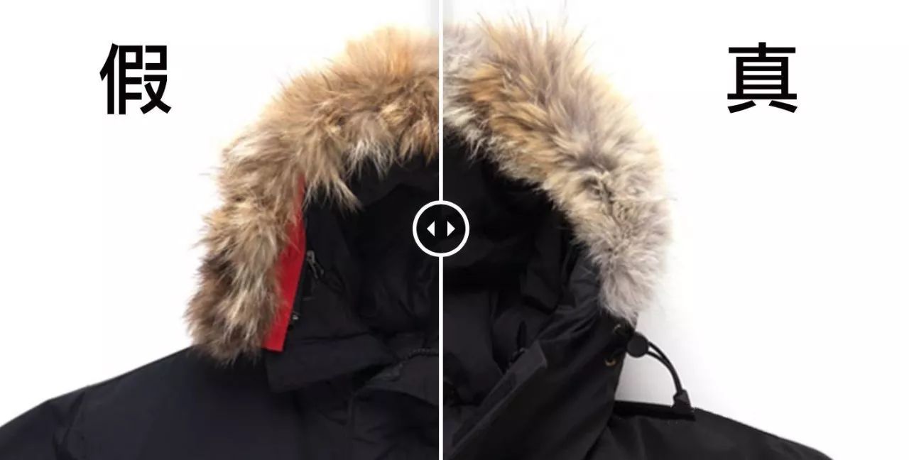 鎶勮鐨勬渶楂樺鐣屾湁澶氶珮,canadagoose