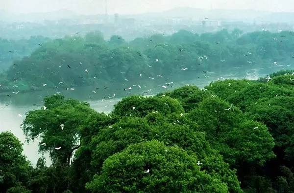 究竟湖南衡阳是几线城市,衡阳南是几线城市