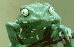 囧吐槽：看自己女朋友*裤内**怎么了