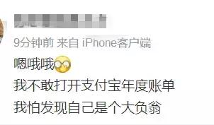 支付宝2018年账单说说,2019年支付宝账单要害词别具一格