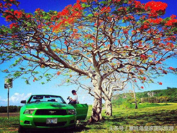 2017塞班岛旅游报价,塞班岛2019完全合集