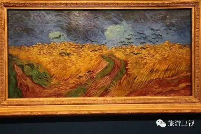 已经开放旅游签证申请的国家,现在开放旅游签证的国家