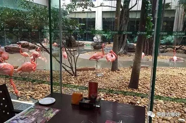 3天两晚广州长隆旅游攻略,广州长隆欢乐世界游玩攻略2021