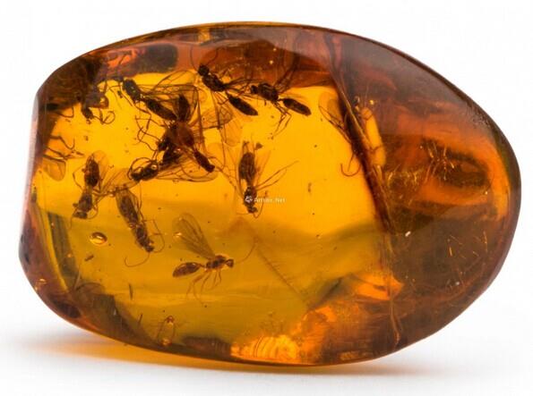 1分钟教你珠宝干货知识,真正的珠宝常识大全