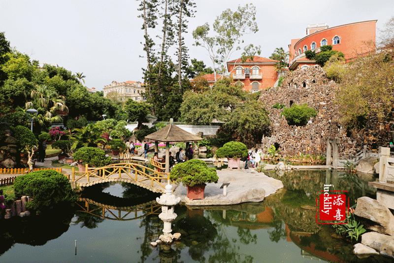 厦门旅游首选酒店,厦门大唐景澜酒店与香格里拉酒店