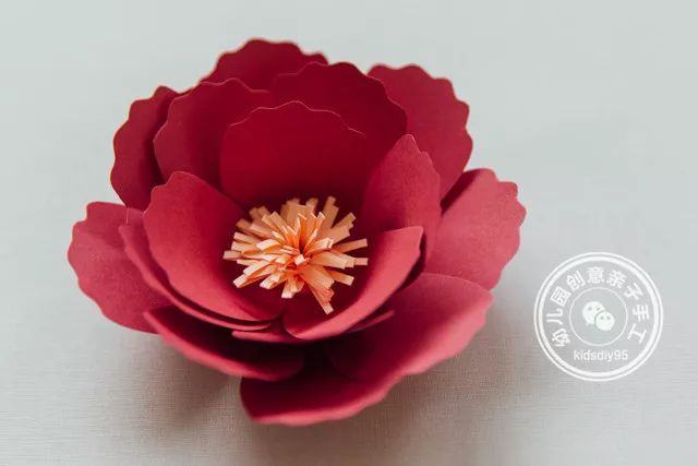 怎么用卡纸做牡丹花和郁金香,牡丹花手工制作卡纸小学