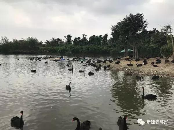 3天两晚广州长隆旅游攻略,广州长隆欢乐世界游玩攻略2021