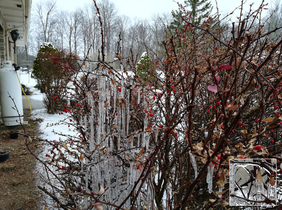 华为荣耀7X详细评测：个性化和功能化的完美结合