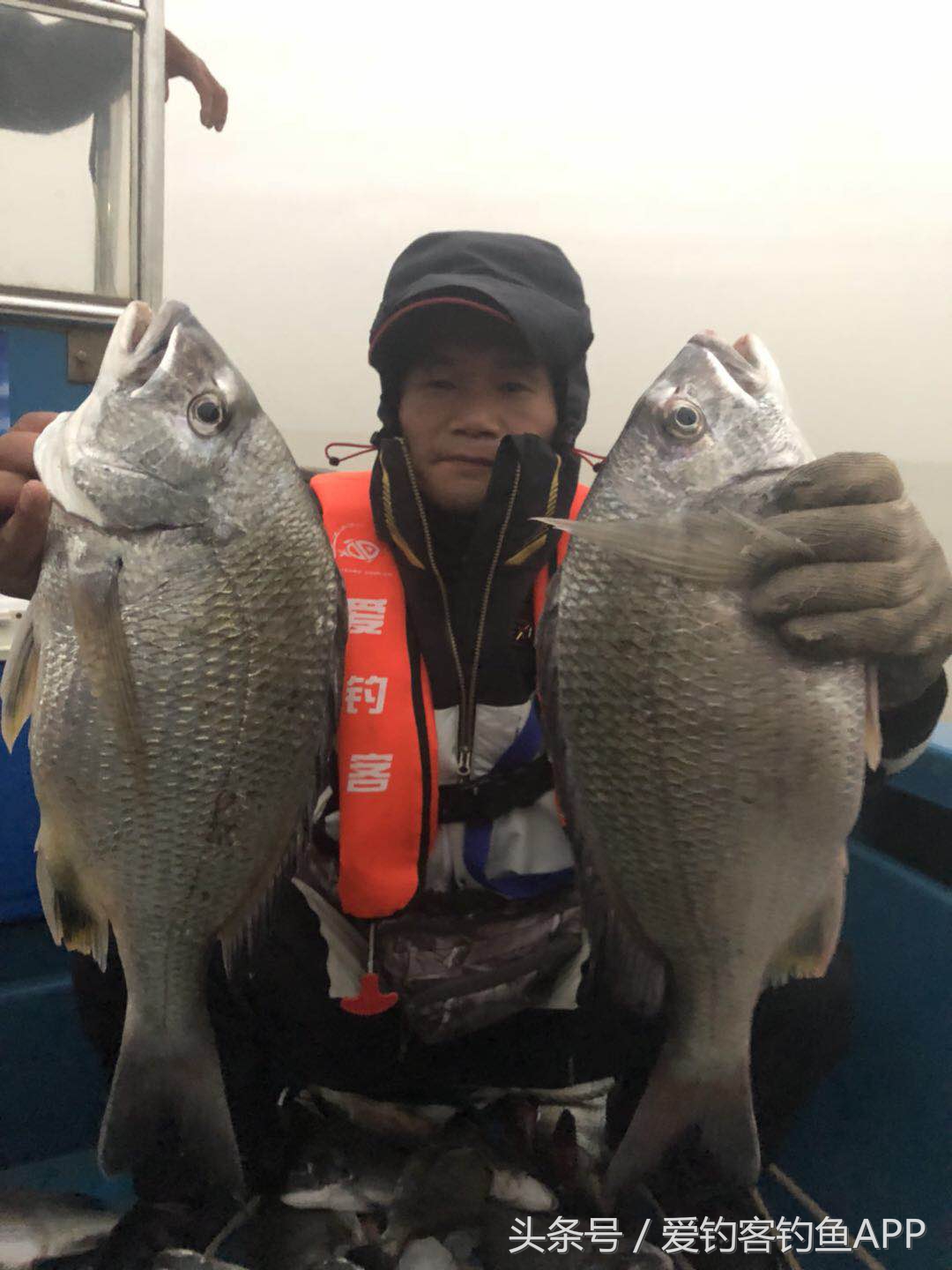 万山船矶寻钓白立——爆箱经验分享