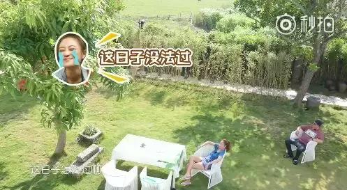 应采儿陈小春七年之痒完全版,陈小春应采儿的婚姻观