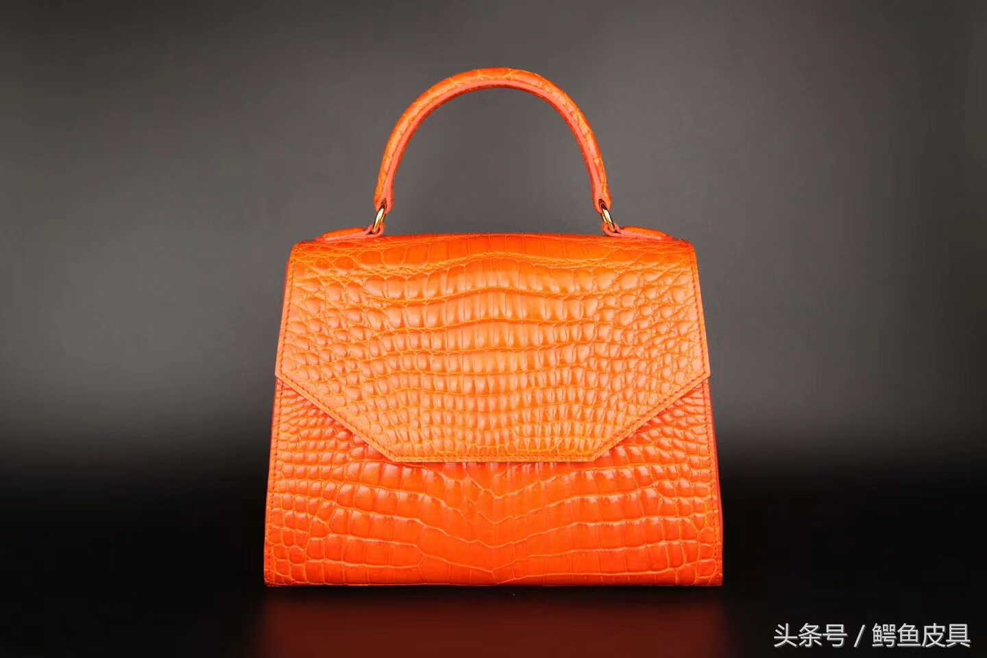 鳄鱼皮种类图片大全,喜马拉雅鳄鱼皮种类