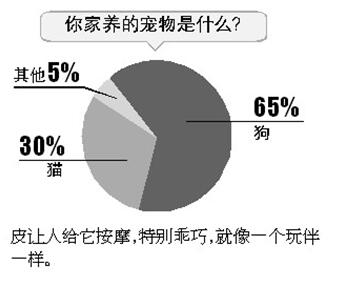 人口老龄化宠物消费,2021宠物消费人群报告