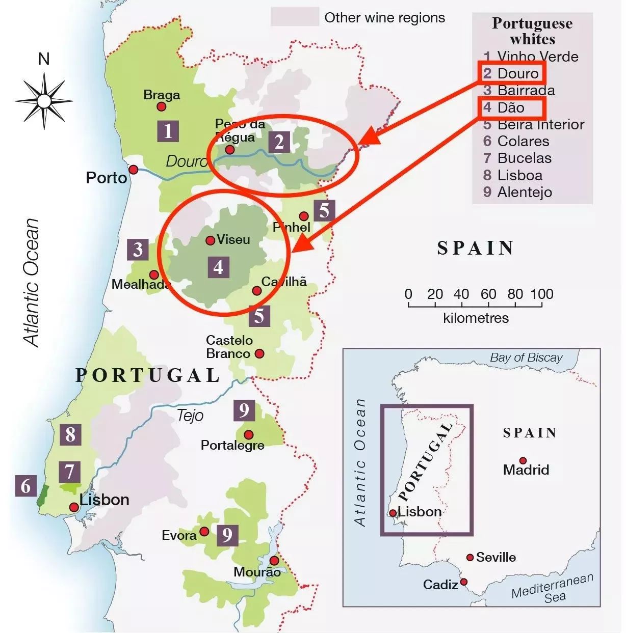 葡萄酿酒品种大全,什么葡萄品种酿酒好喝