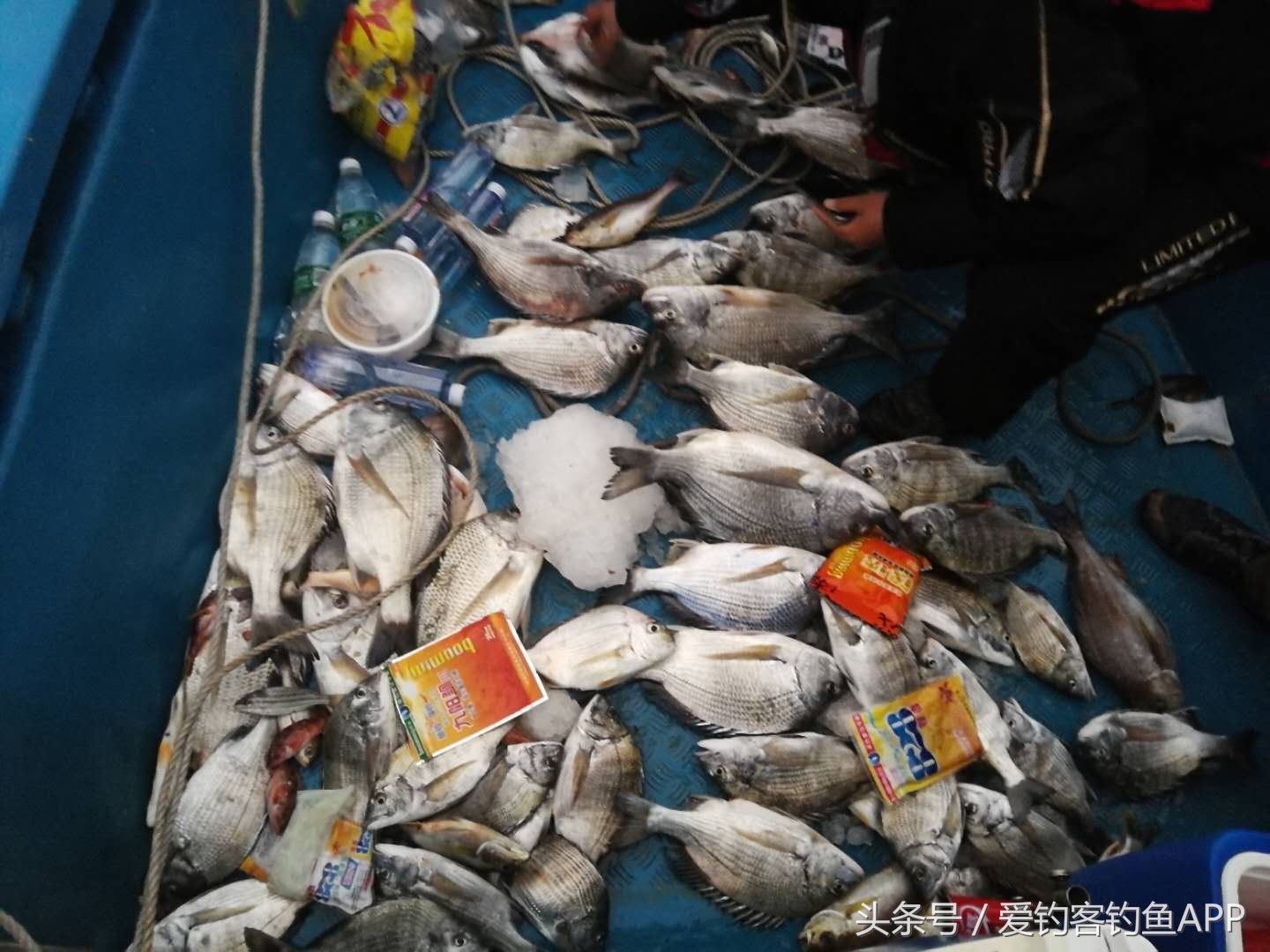 万山船矶寻钓白立——爆箱经验分享