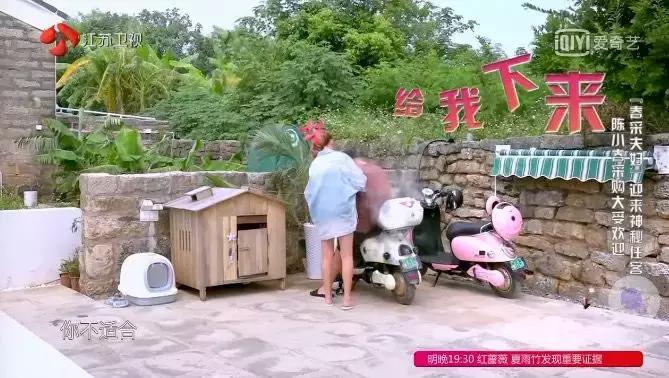 应采儿陈小春七年之痒完全版,陈小春应采儿的婚姻观