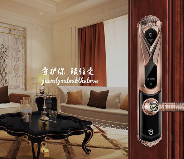 达闻西指纹锁是品牌锁吗,深圳达闻西指纹锁厂家