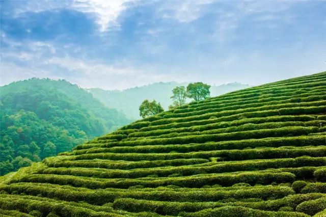 2018年浙江地方景点旅游日历大合集！含杭州，建德，温州，金华！