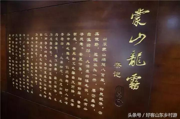 龙雾茶文化酒店,蒙山龙雾茶文化主题酒店