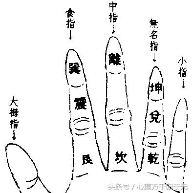 掌中八卦运用在哪,掌中八卦对应的含义