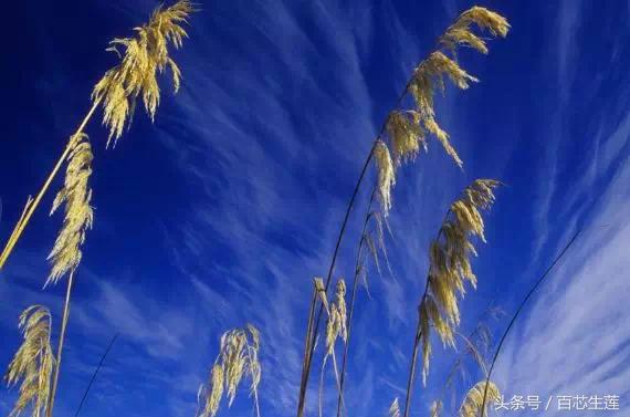 前列腺钙化怎么回事？中医全方位解析钙化