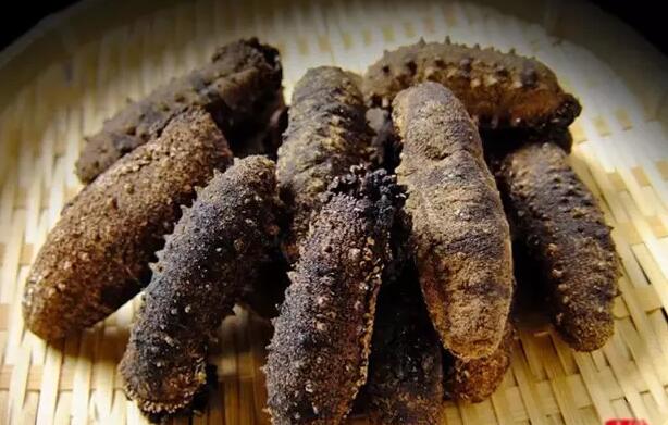 海参有上千种都是一样的吗,全世界海参有多少品种