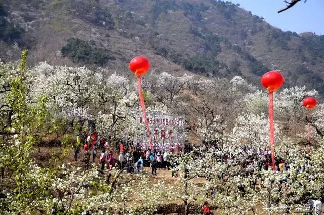 你好，我叫蓟州区，这是我的新名片，请收好