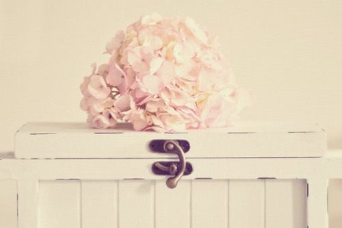 关于爱情五个骗人的心灵鸡汤,心灵鸡汤人生感悟朋友圈关于爱情