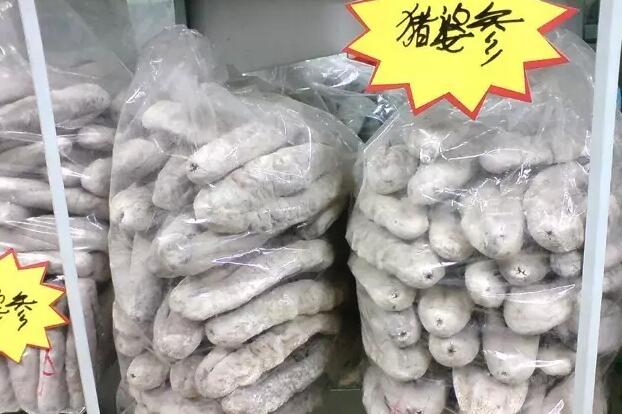 海参有上千种都是一样的吗,全世界海参有多少品种