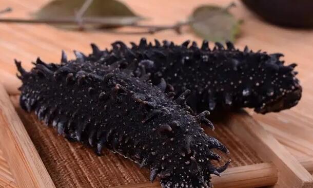 海参有上千种都是一样的吗,全世界海参有多少品种