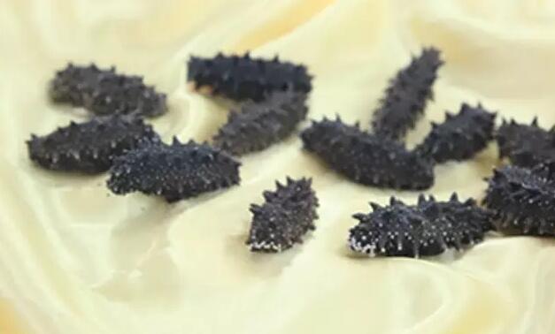 海参有上千种都是一样的吗,全世界海参有多少品种