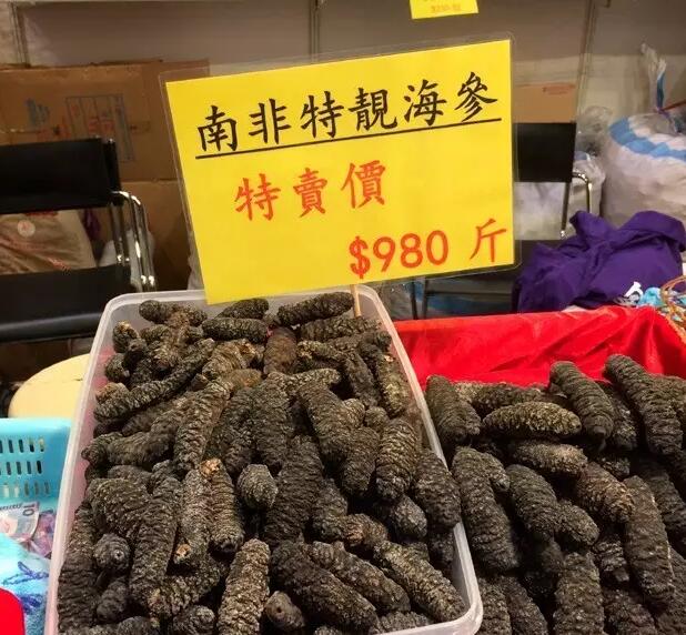 海参有上千种都是一样的吗,全世界海参有多少品种