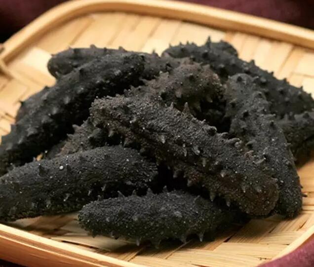 海参有上千种都是一样的吗,全世界海参有多少品种