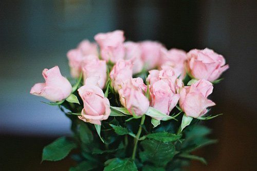 关于爱情五个骗人的心灵鸡汤,心灵鸡汤人生感悟朋友圈关于爱情