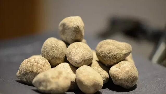 海参有上千种都是一样的吗,全世界海参有多少品种