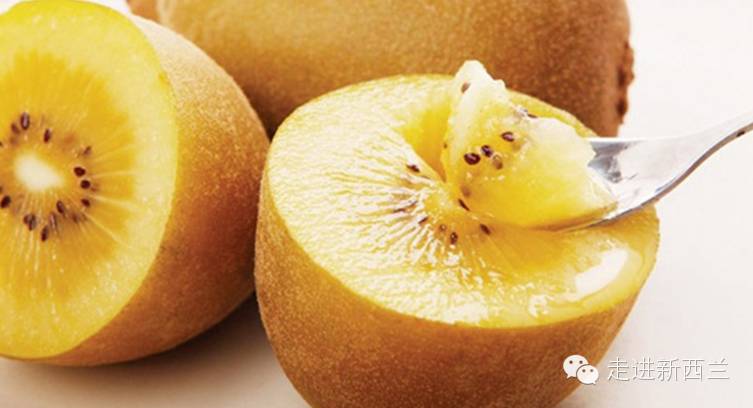 据说朋友圈都在刷新西兰奇异果！你知道它为什么是世界上最好的水果吗！