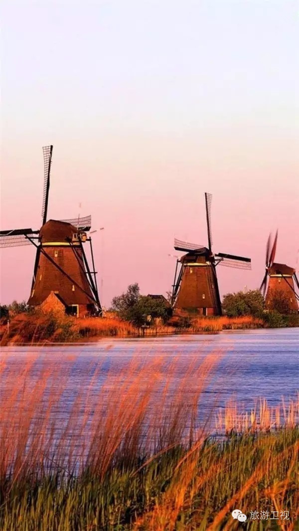 已经开放旅游签证申请的国家,现在开放旅游签证的国家