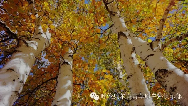 呼伦贝尔自由行攻略,呼伦贝尔自由行