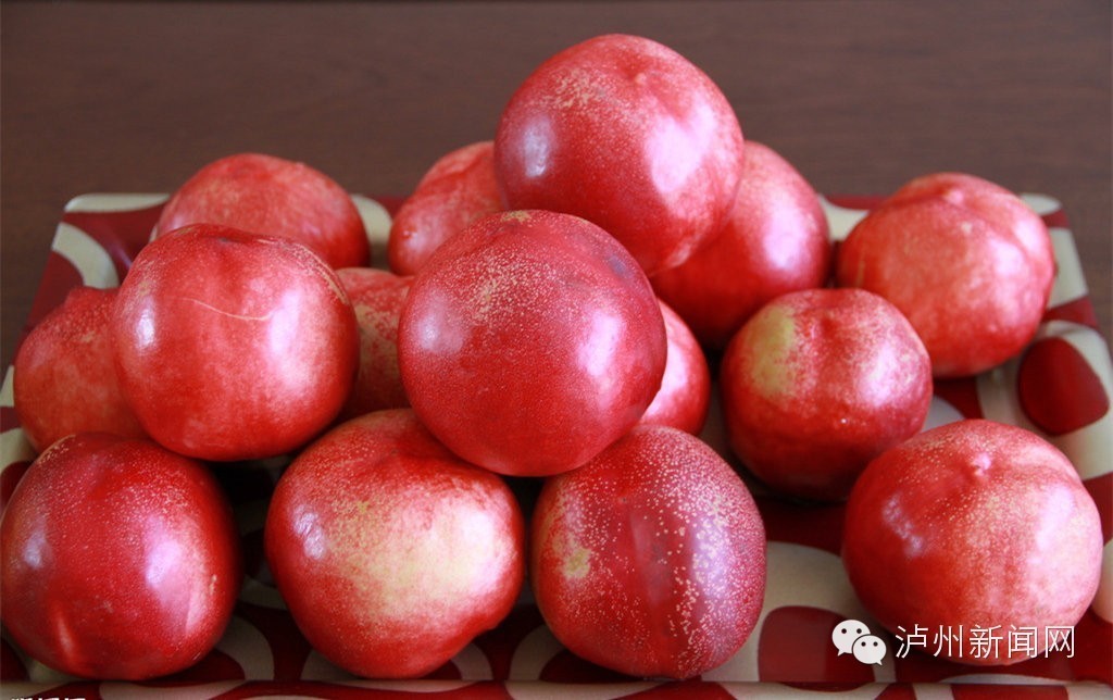 泸州哪些地方能够摘草莓,贵阳摘草莓摘桑葚摘樱桃地方