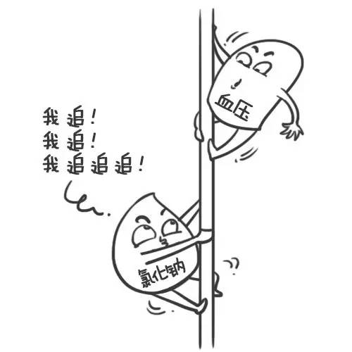 低钠低钾和血压有关系吗,低钠盐和钾有什么关系