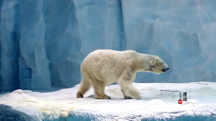 新年广州珠海长隆游记,广州珠海长隆澳门自由行攻略