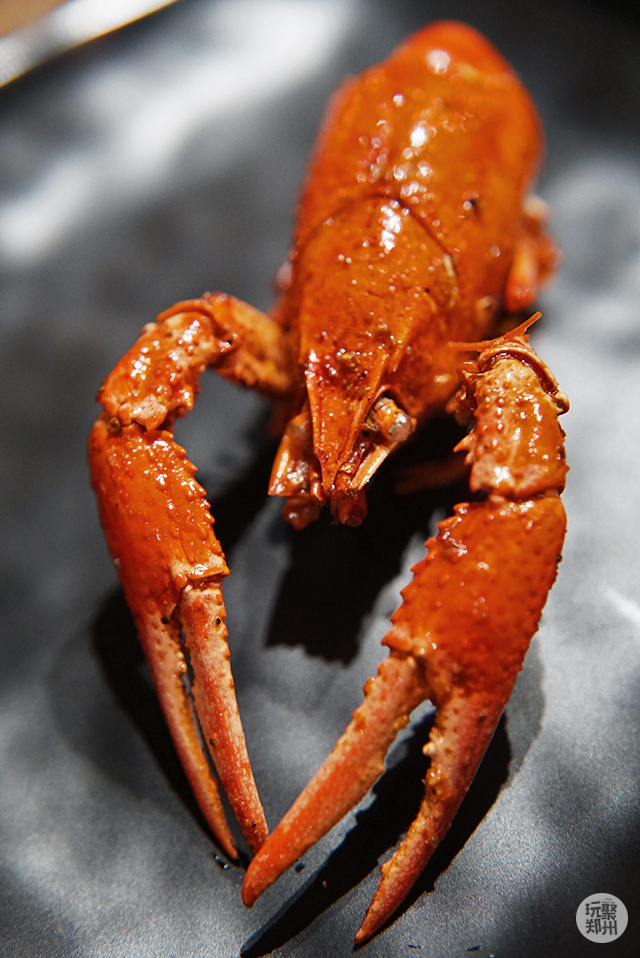 冬天都能够吃到品质好的龙虾店,冬天还能吃到小龙虾真好