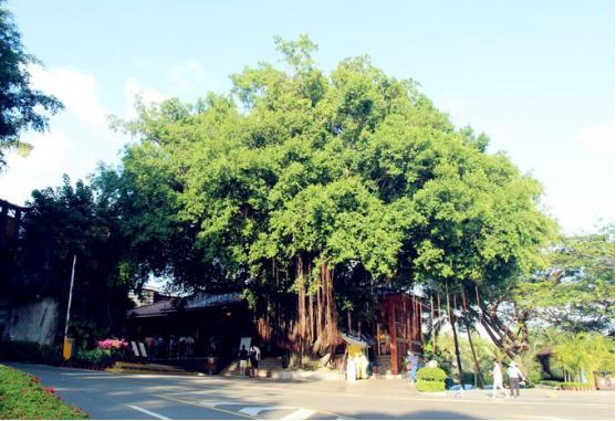 三亚吃喝玩乐亲身攻略