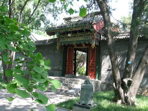 四川省乐山市沙湾区鲜花店,四川省乐山市沙湾区天气